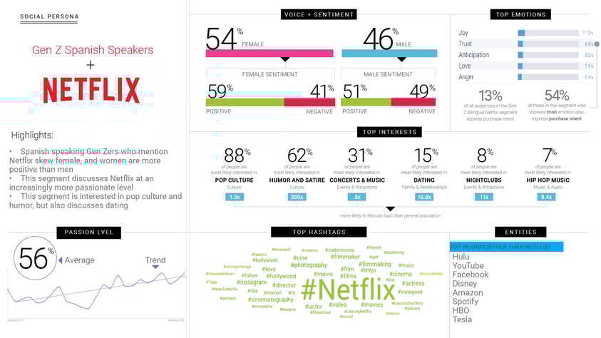 Custom audience segmentation with social listening and social media personas