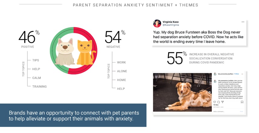 top keywords for pet owners during pandemic with social listening