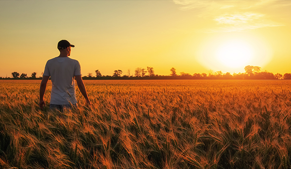 Social silence: interpreting the absence of online conversation