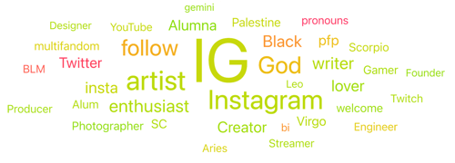 Figure 9. Source Bio Word Cloud about Slang from Ages 20-30 (April 4, 2020 through April 4, 2025); Infegy Social Dataset.