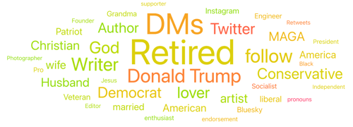 Figure 11. Source Bio Word Cloud about Slang from Ages 60-70 (April 4, 2020 through April 4, 2025); Infegy Social Dataset.