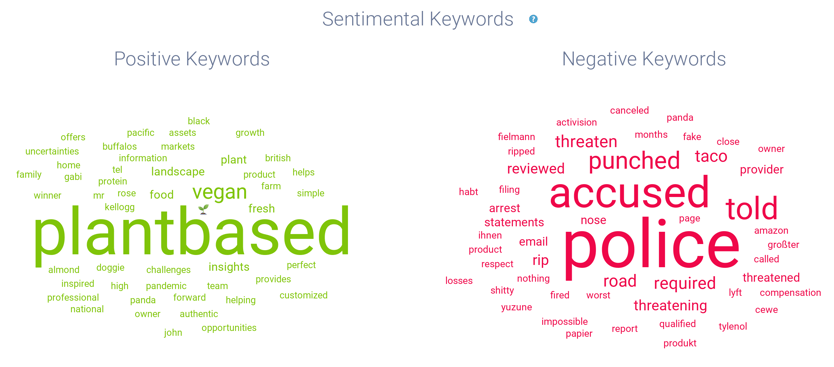 Image 4 - Beyond Meat Word Cloud-1