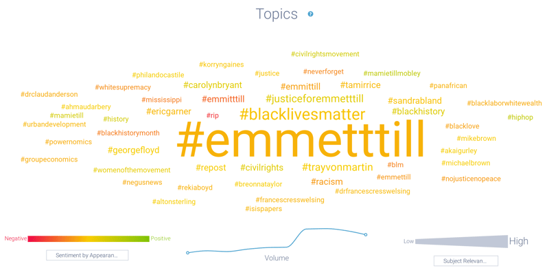 Image 4a - Emmett Till Hashtags-1