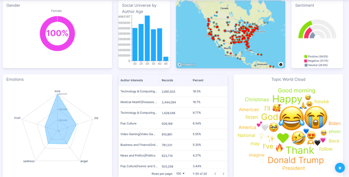 Figure 4: Target Moms Age, Geography, Sentiment of Target, Emotions, Author Interests, and Topics (July 2024 through July 2025); Infegy Social Dataset.