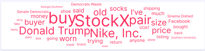 Figure 7: Overall eBay shoe reselling negative conversations word cloud (September 2020 - September 2025); Infegy Social Dataset.
