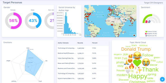 Figure 6: Target DIY/Designer (July 2024 through July 2025); Infegy Social Dataset.