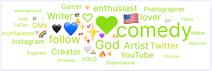 Figure 1: Positive Matt Rife Conversation Most Used Bio Terms (January 2022-September 2025); Infegy Social Dataset.