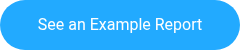 See an Example Report